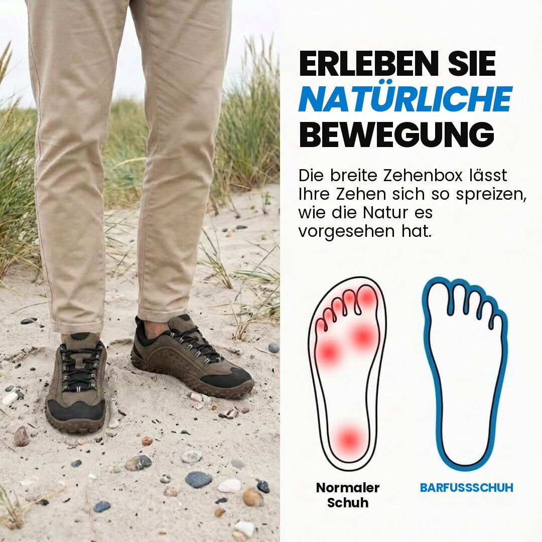 braun-37, braun-38, braun-39, braun-40, braun-41, braun-42, braun-43, braun-44, braun-45, braun-46, braun-47, braun-48
