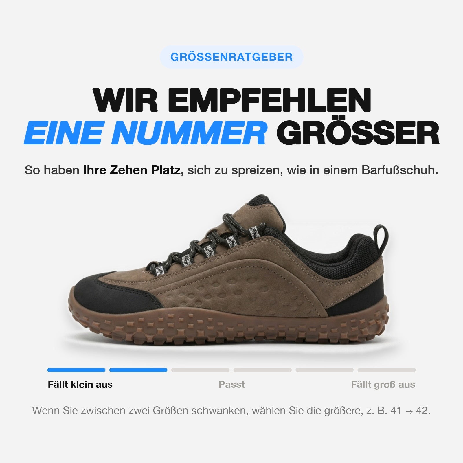 braun-37, braun-38, braun-39, braun-40, braun-41, braun-42, braun-43, braun-44, braun-45, braun-46, braun-47, braun-48